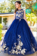 Load image into Gallery viewer, CINDERELLA COUTURE